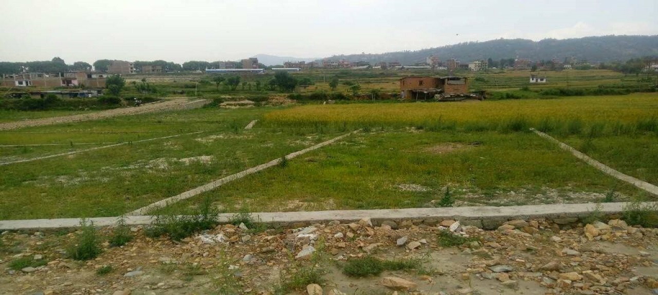 Plot 1